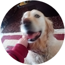 Chris Dritsas profile picture