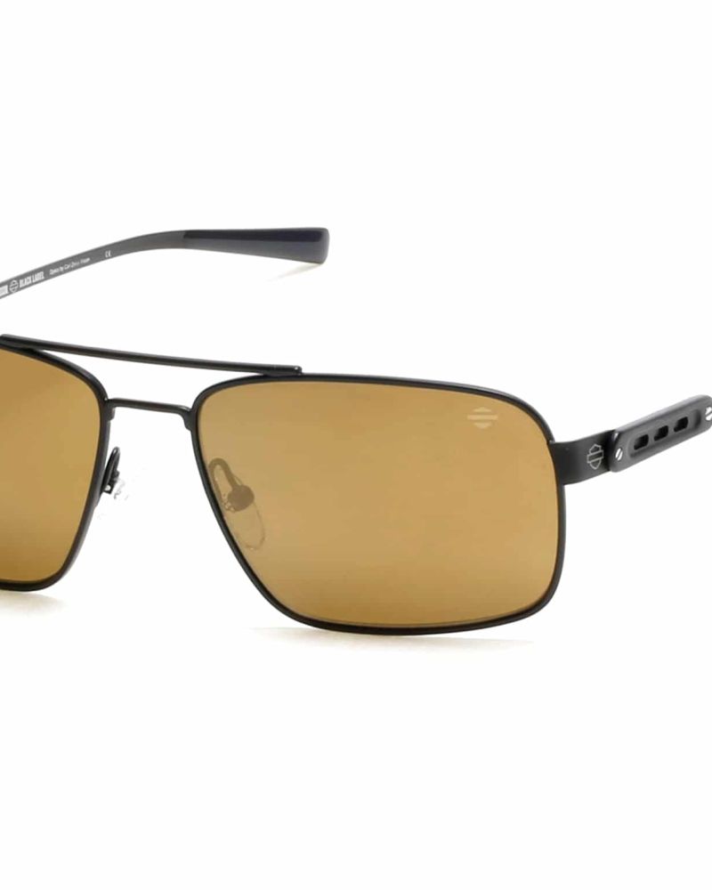 HARLEY DAVIDSON HDS2047/01G/00